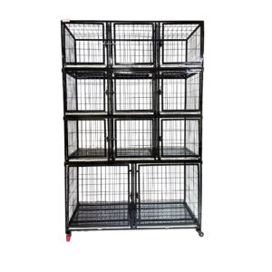 Canil Standard 11 Lugares