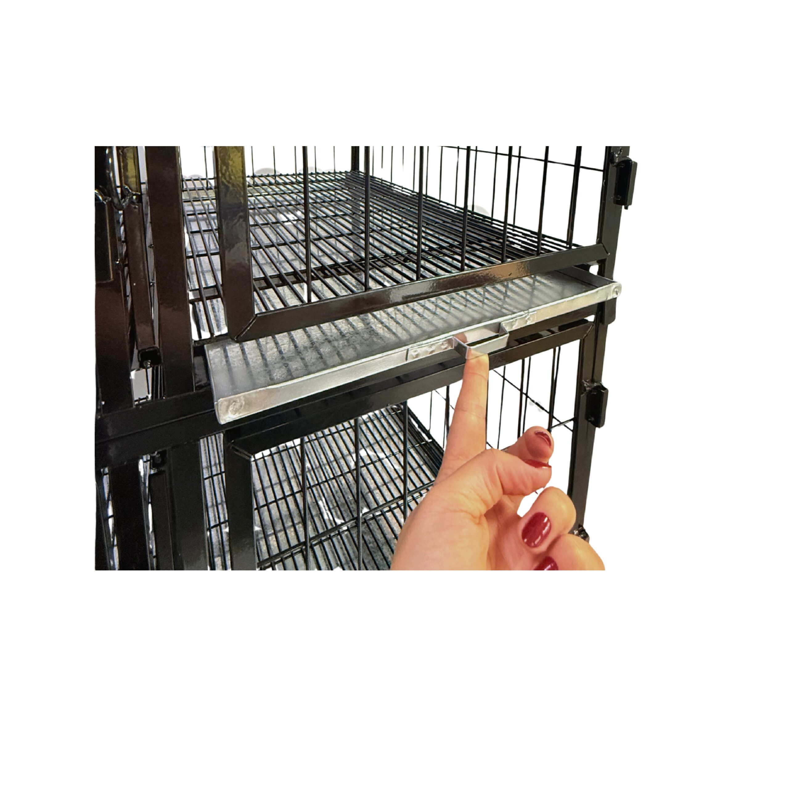 Canil Standard 11 Lugares - Imagem 2