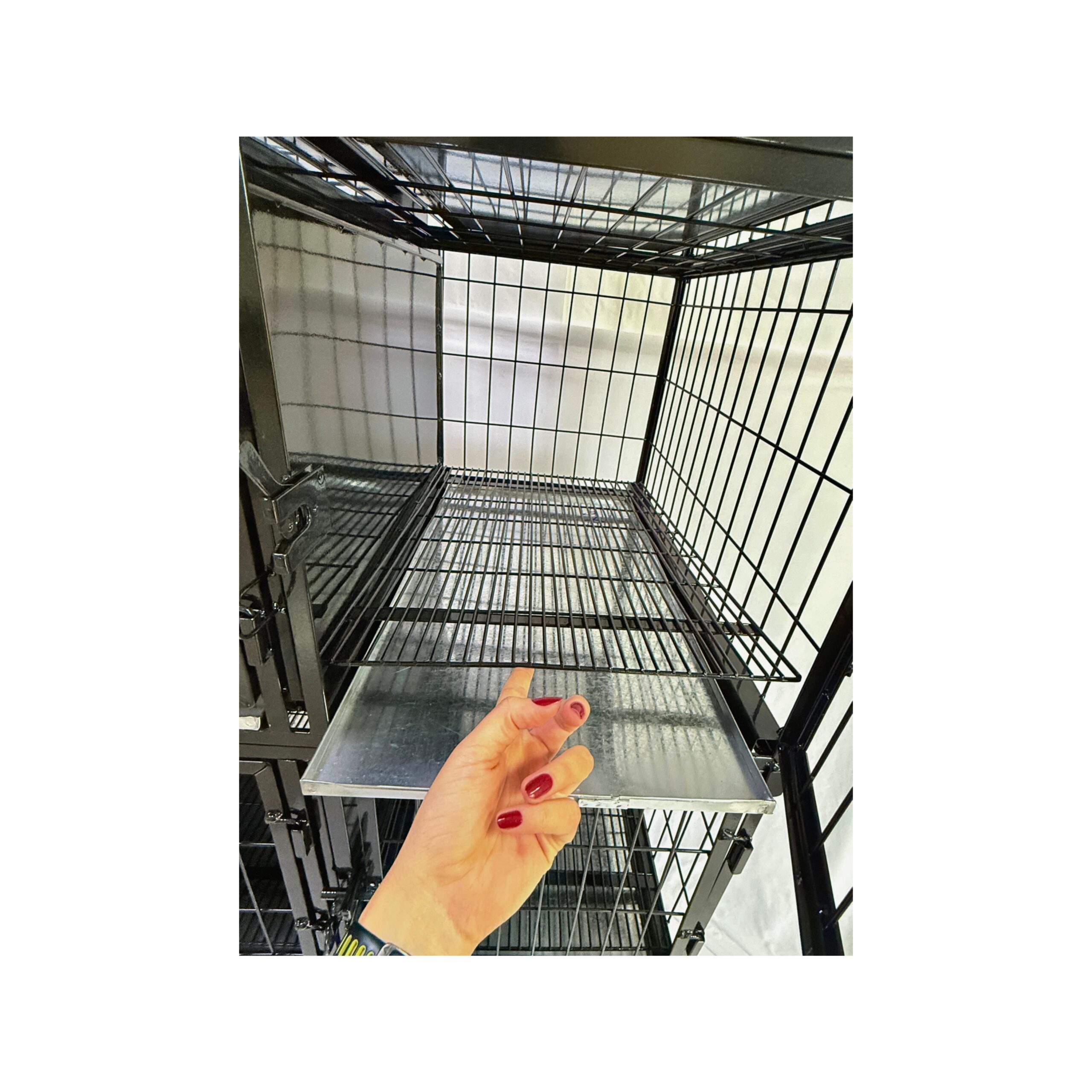 Canil Standard 11 Lugares - Imagem 3