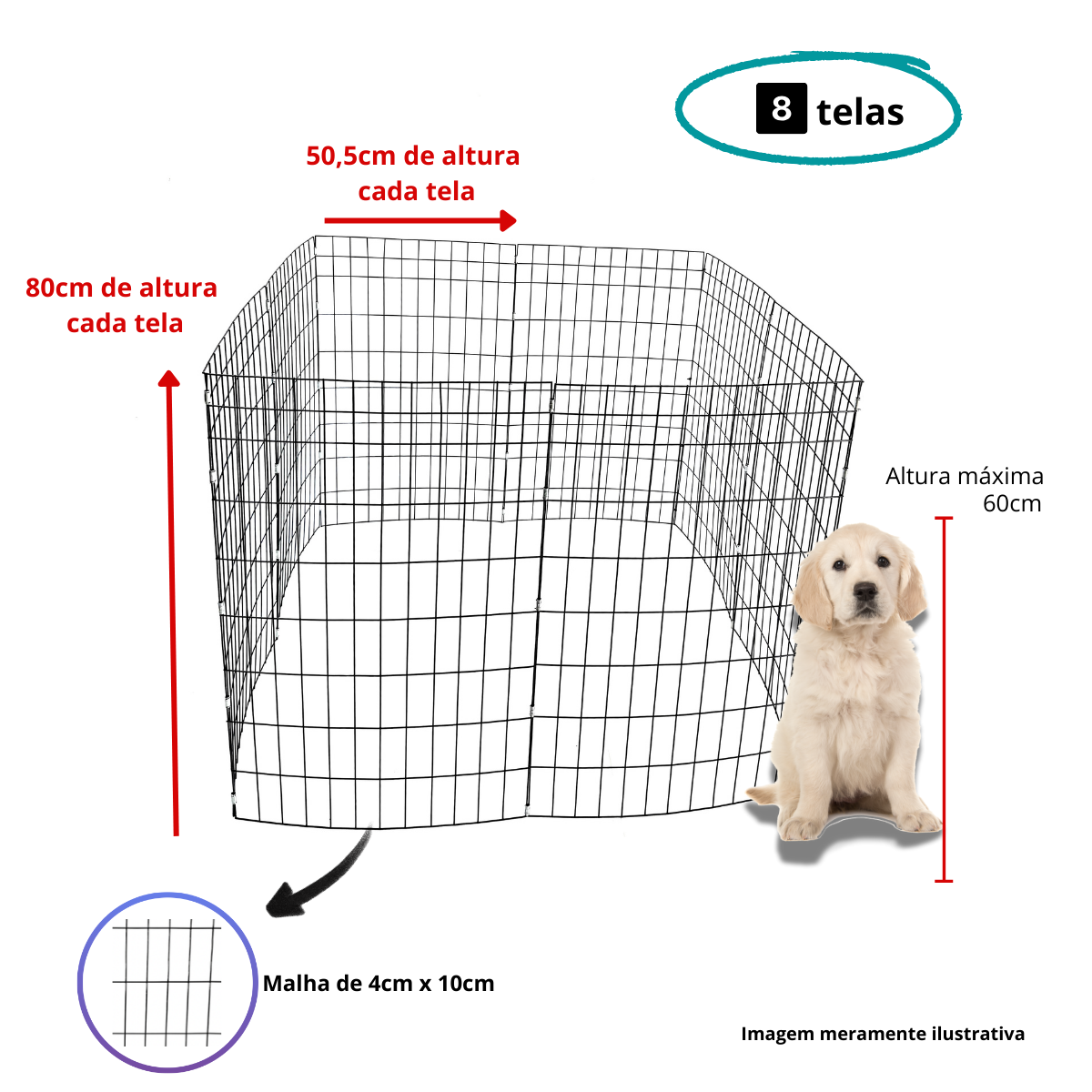 Cercadinho Pet Expen 80 cm - Imagem 3