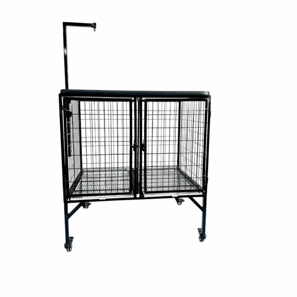 Mesa Canil Standard